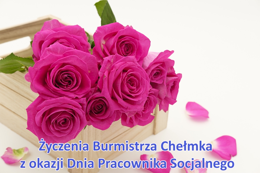 Zdjęcie przedstawiajace róże na drewnianej skrzynce z napisem na dolnej krawędzi fotografii: Życzenia Burmistrza Chełmka z okazji Dnia Pracownika Socjalnego.