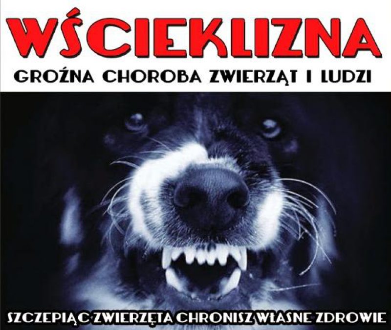 2016.05.31.wscieklizna