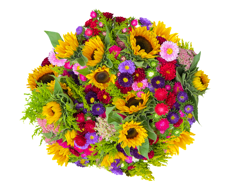 emotions 3699632 960 720