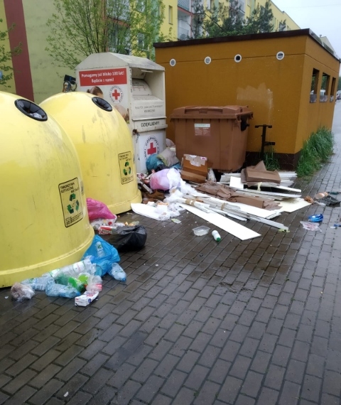 Zdjęcie obrazujące przypadek nieprawidłowego pozbywania się odpadów komunalnych.